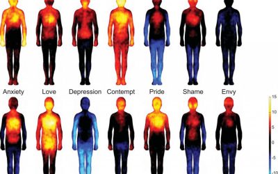 Relación entre temperatura y emociones